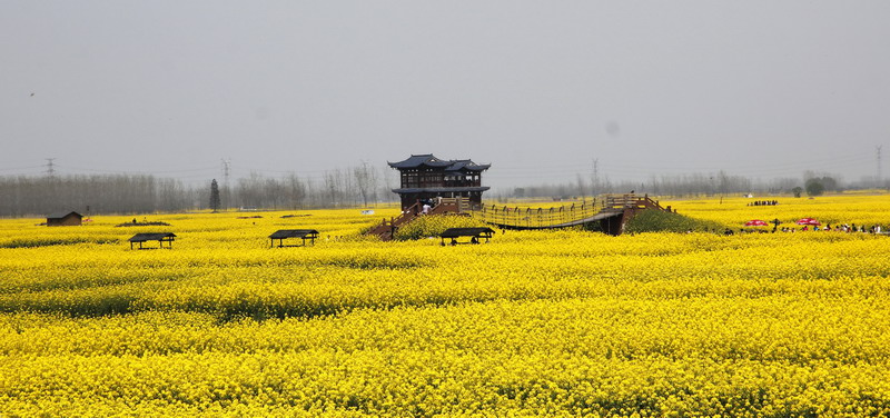 _mg_5909_缩小大小.jpg