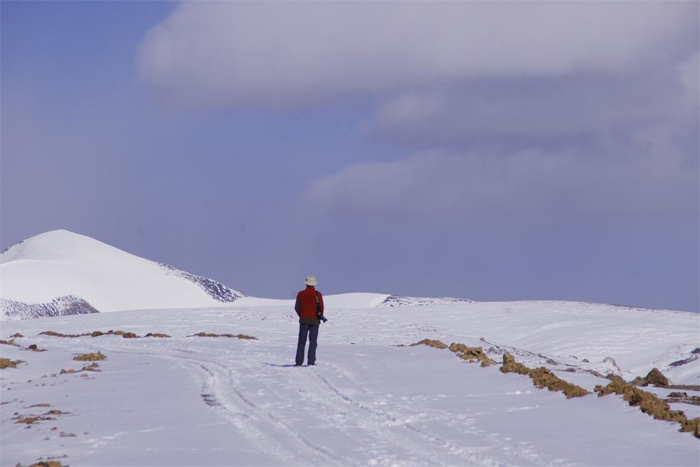 _igp6453.jpg