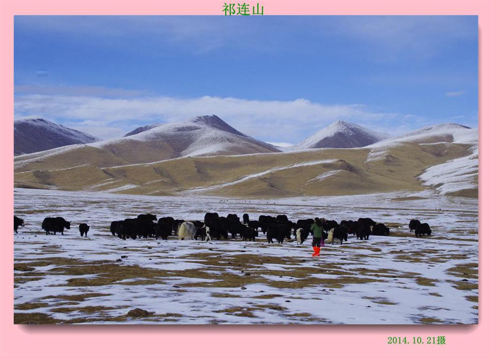 _igp6468.jpg