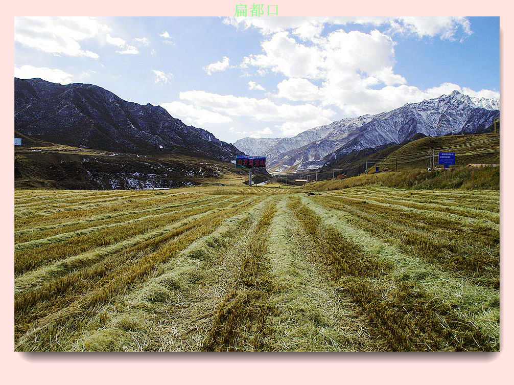 _igp6615_2345看图王_副本.jpg