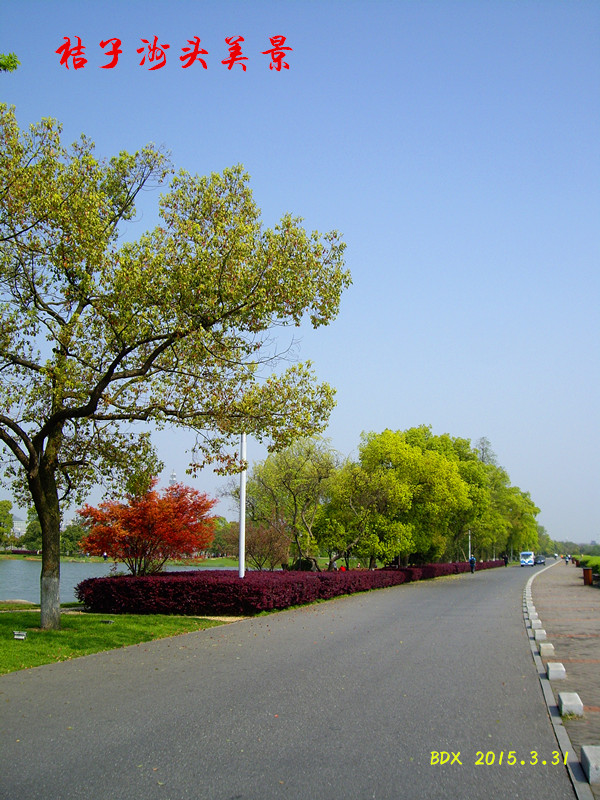 imgp1891_.jpg