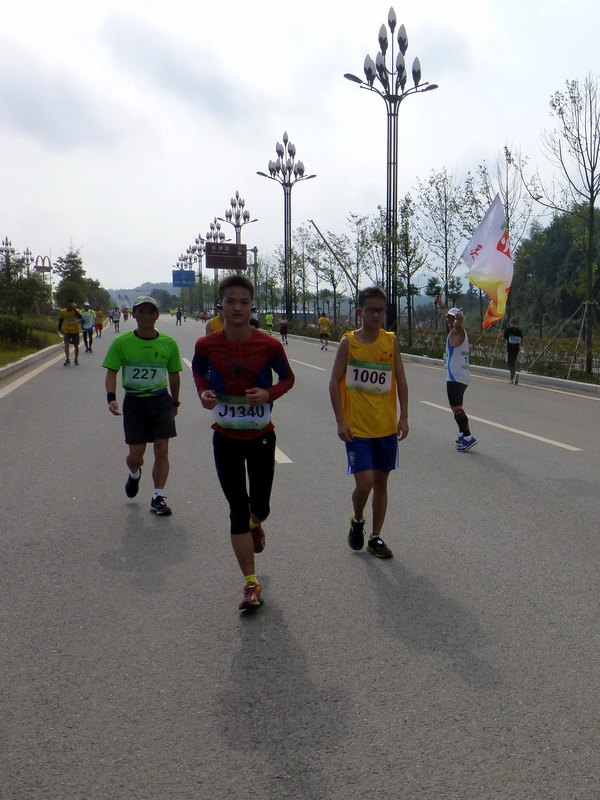 p1290992.jpg