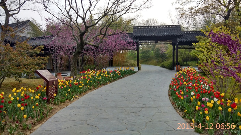 瘦西湖的花.jpg