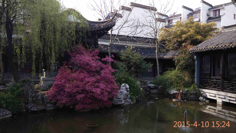 2015-4-10郑板桥故居+古县衙遗址李园 (30).jpg