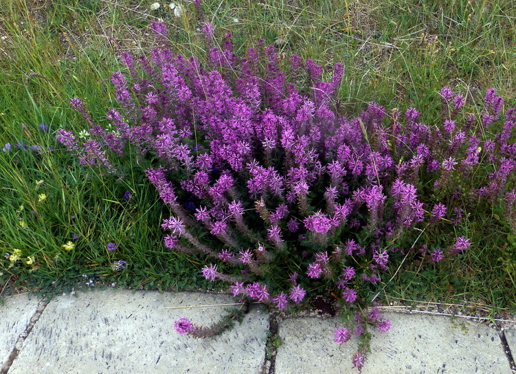 p1240535.jpg
