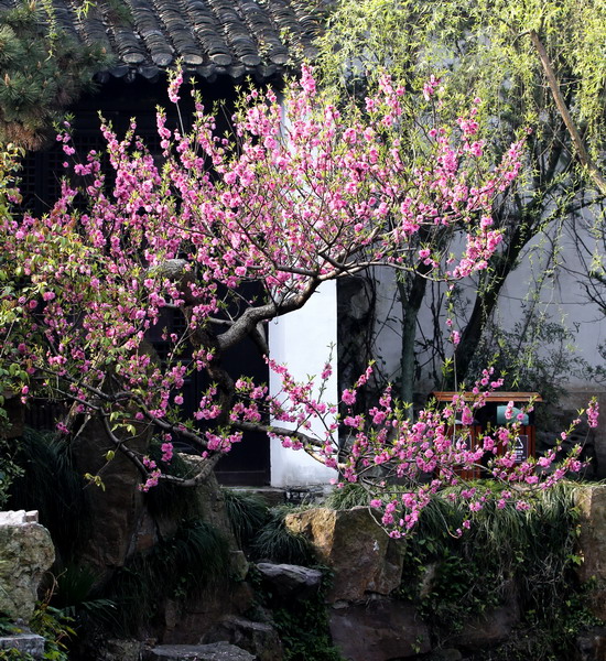_mg_6805_缩小大小.jpg
