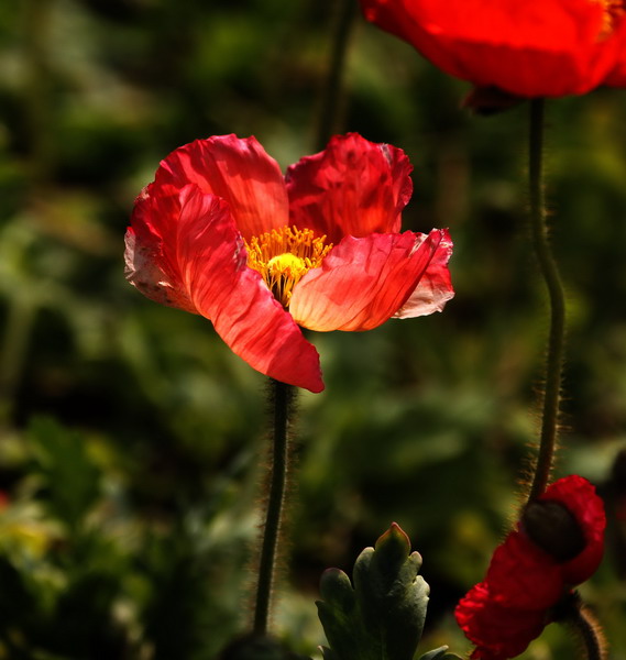 _mg_6822_缩小大小.jpg