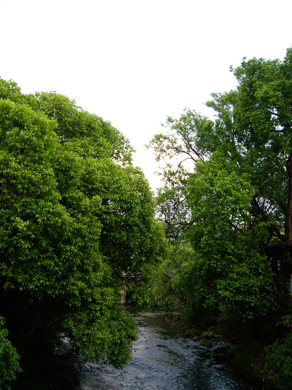 imgp1049_.jpg