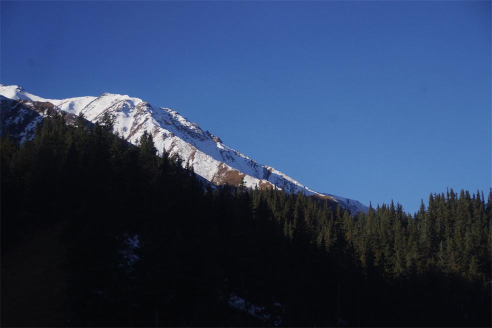 _igp6486.jpg