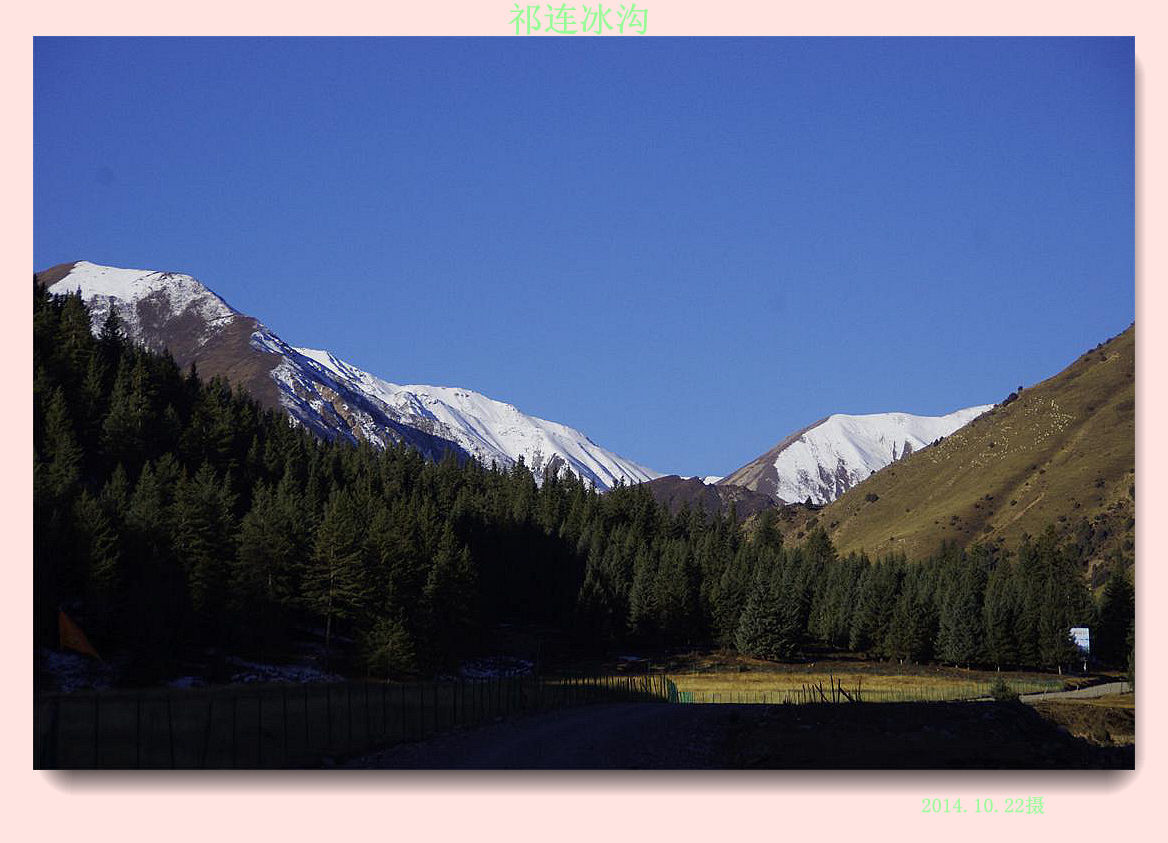_igp6501.jpg