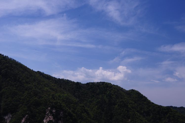2015罗田安微天堂寨英山杜鹃 014_副本.jpg