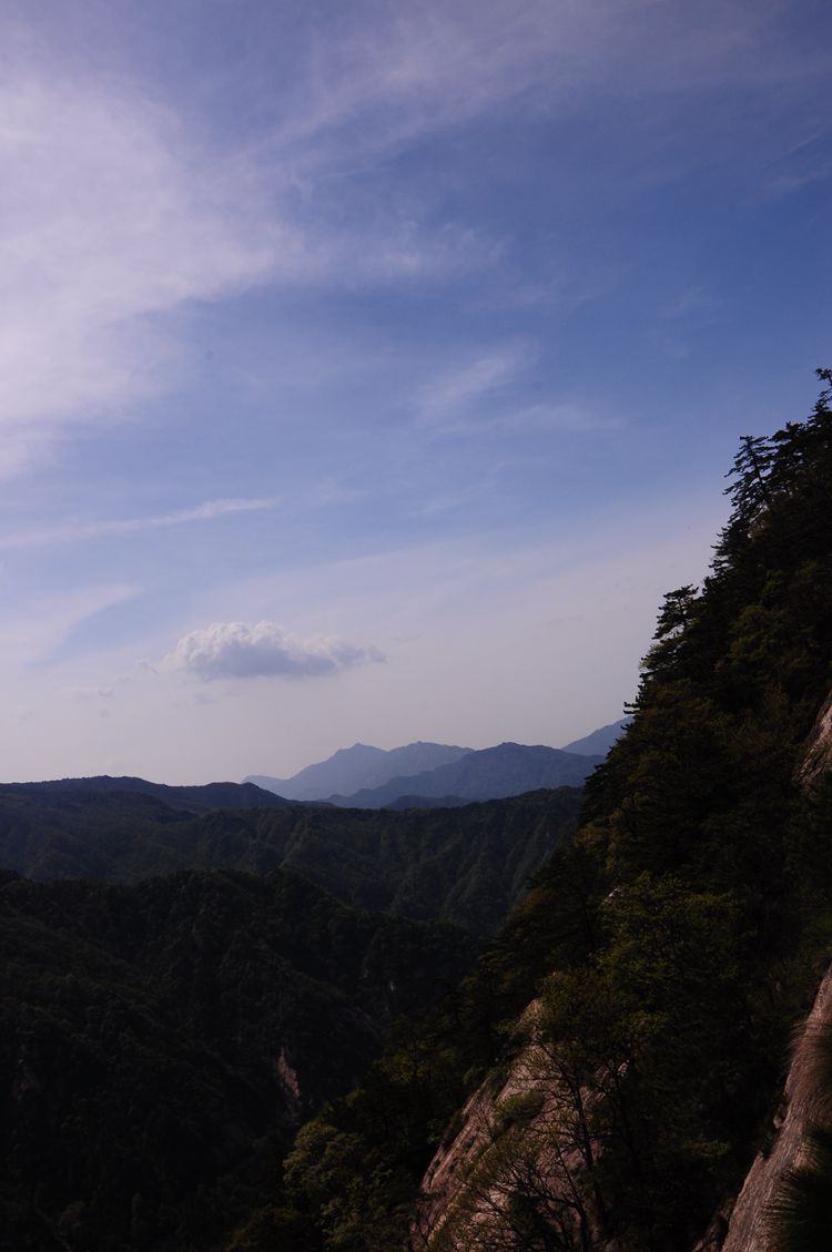 2015罗田安微天堂寨英山杜鹃 048_副本.jpg