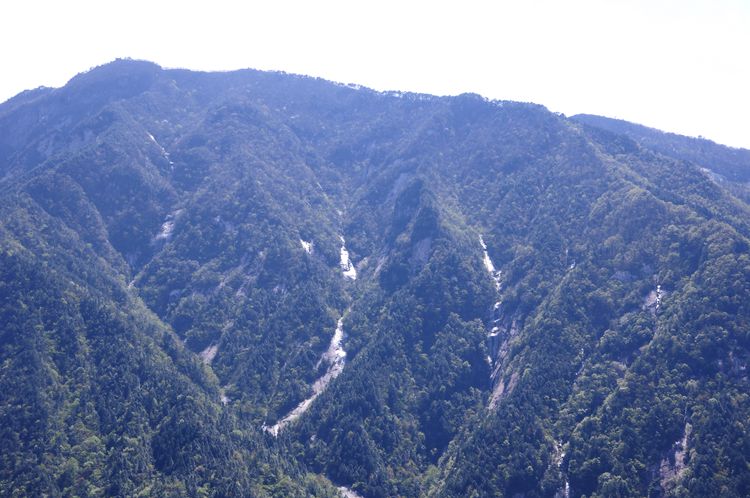 2015罗田安微天堂寨英山杜鹃 040_副本.jpg