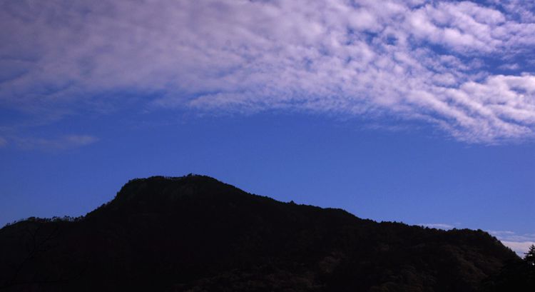2015罗田安微天堂寨英山杜鹃 150_副本_副本.jpg