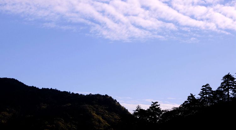 2015罗田安微天堂寨英山杜鹃 151_副本.jpg