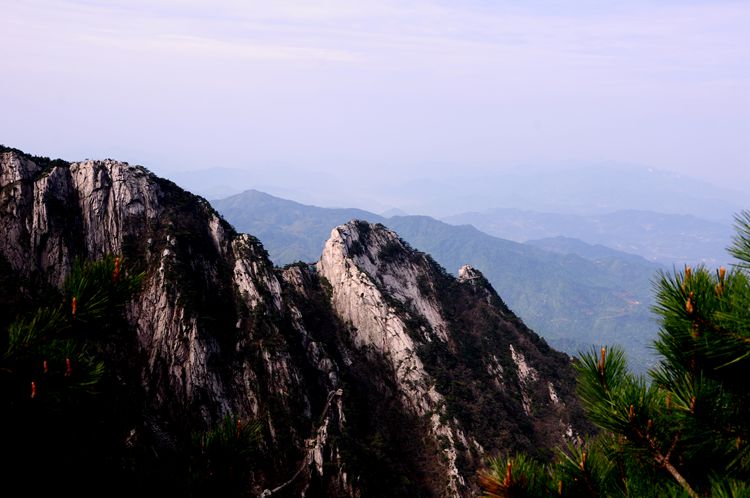 2015罗田安微天堂寨英山杜鹃 183_副本.jpg
