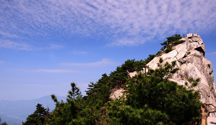 2015罗田安微天堂寨英山杜鹃 229_副本.jpg