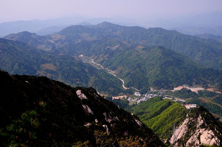 2015罗田安微天堂寨英山杜鹃 251_副本.jpg