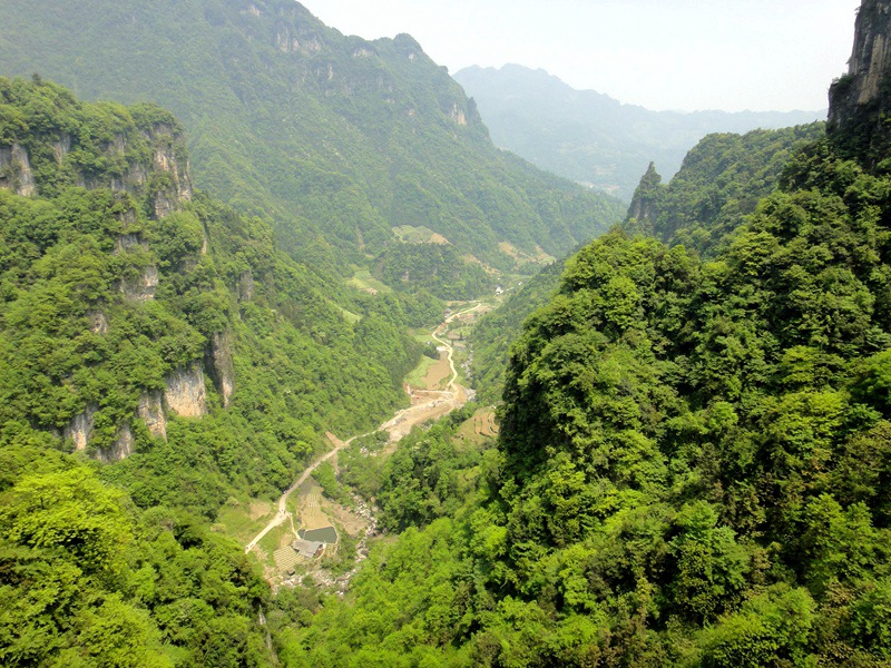 dsc03787_.jpg