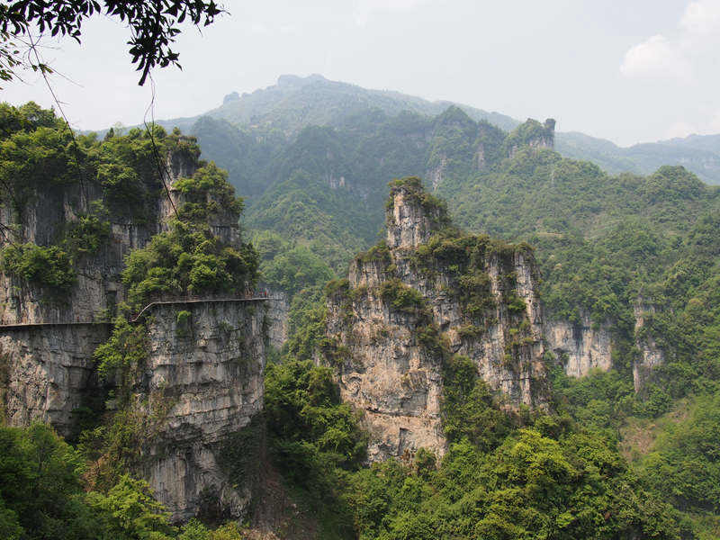 p4253035_.jpg