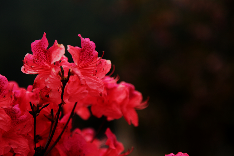 img_8679_副本.jpg