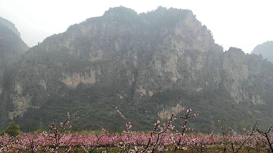 qq图片20150430120107.jpg