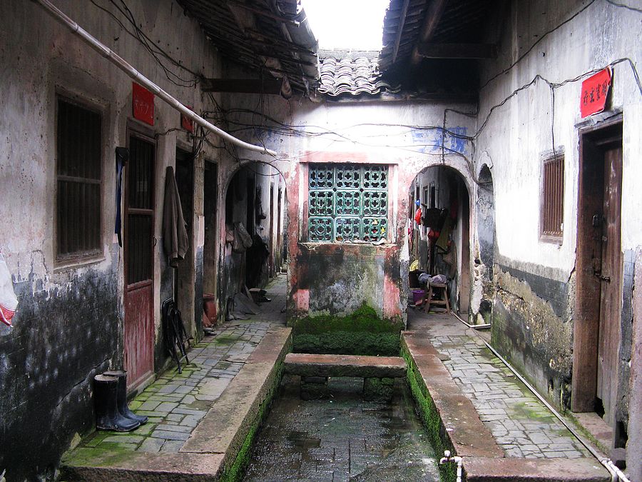 neo_img_img_7525.jpg