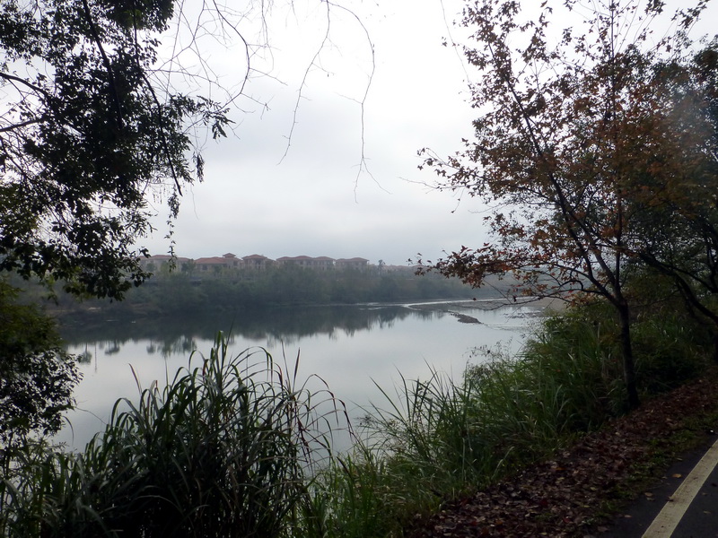p1290930.jpg