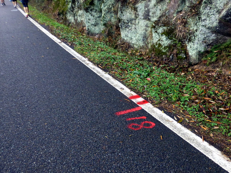 p1290931.jpg