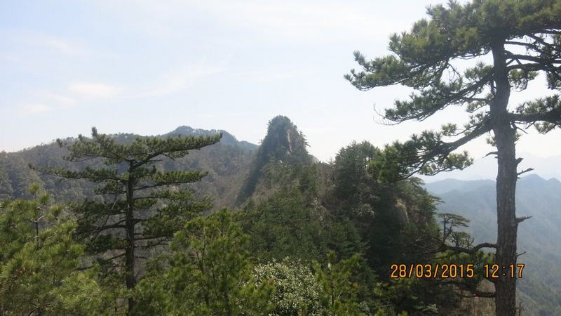 010-1.jpg