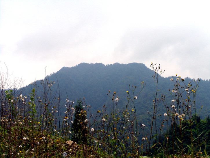 山水间1.jpg
