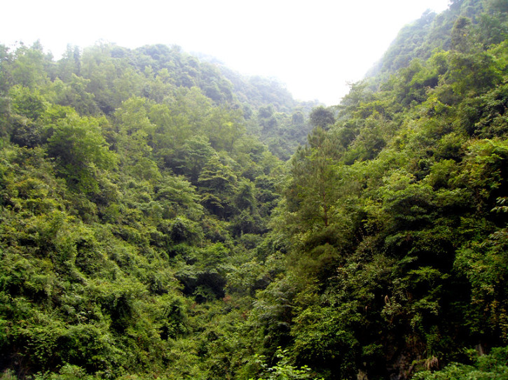 山水间6.jpg