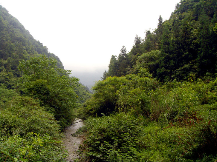 山水间4.jpg