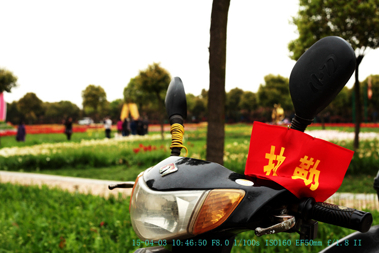 img_7992_副本.jpg
