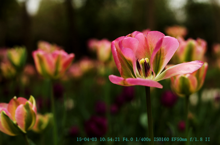 img_7998_副本.jpg