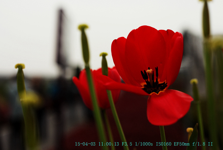 img_8005_副本.jpg