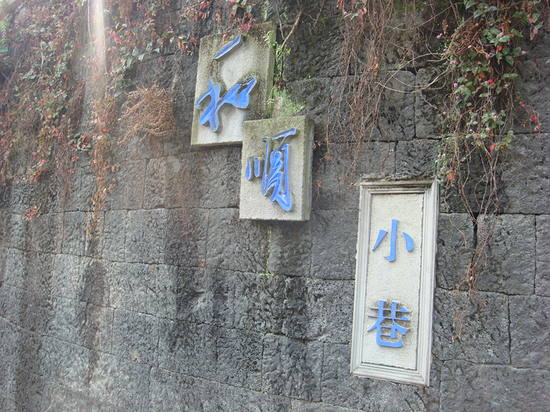 dsc02507_.jpg