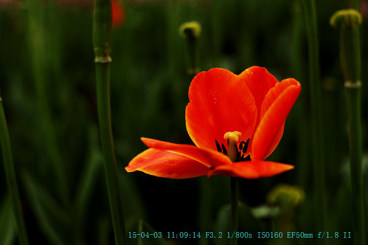 img_8012_副本.jpg