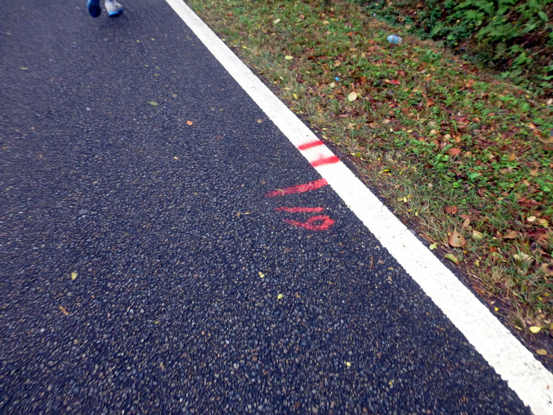 p1290934.jpg