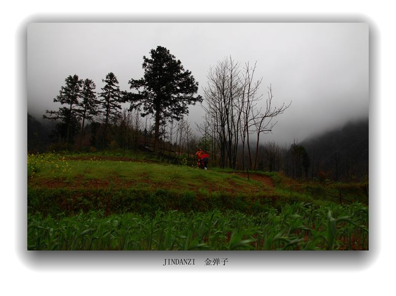 img_2686.jpg