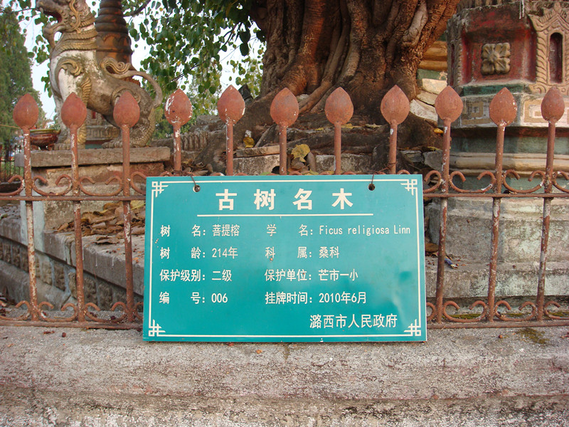 dsc02766_.jpg