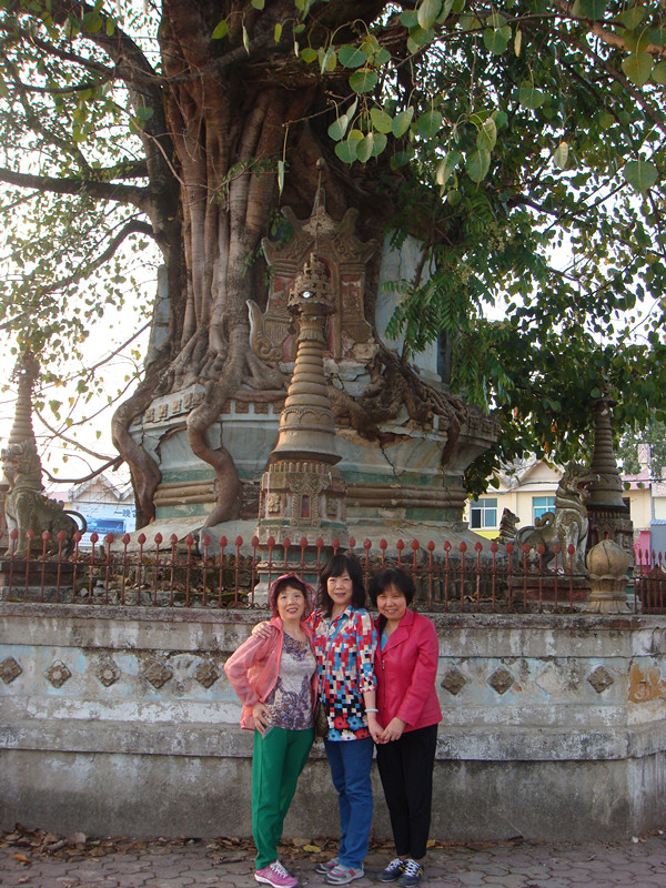 dsc02770_.jpg