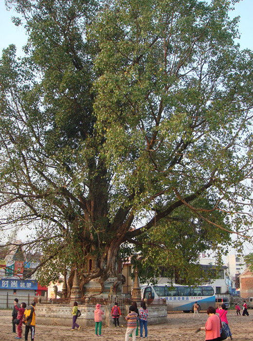 dsc02776__.jpg