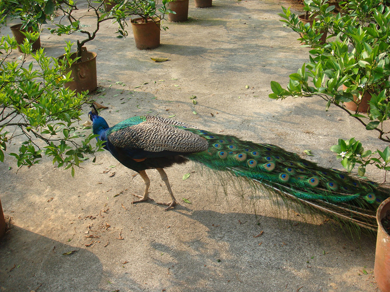 dsc02811_.jpg