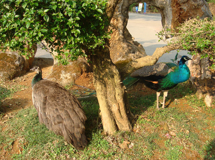 dsc02812__.jpg