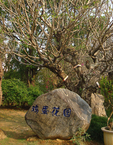 dsc02825__.jpg