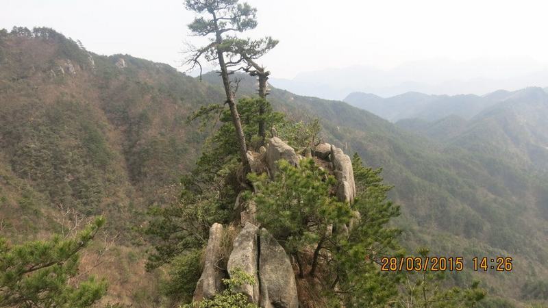 qqͼƬ20150409194154.jpg
