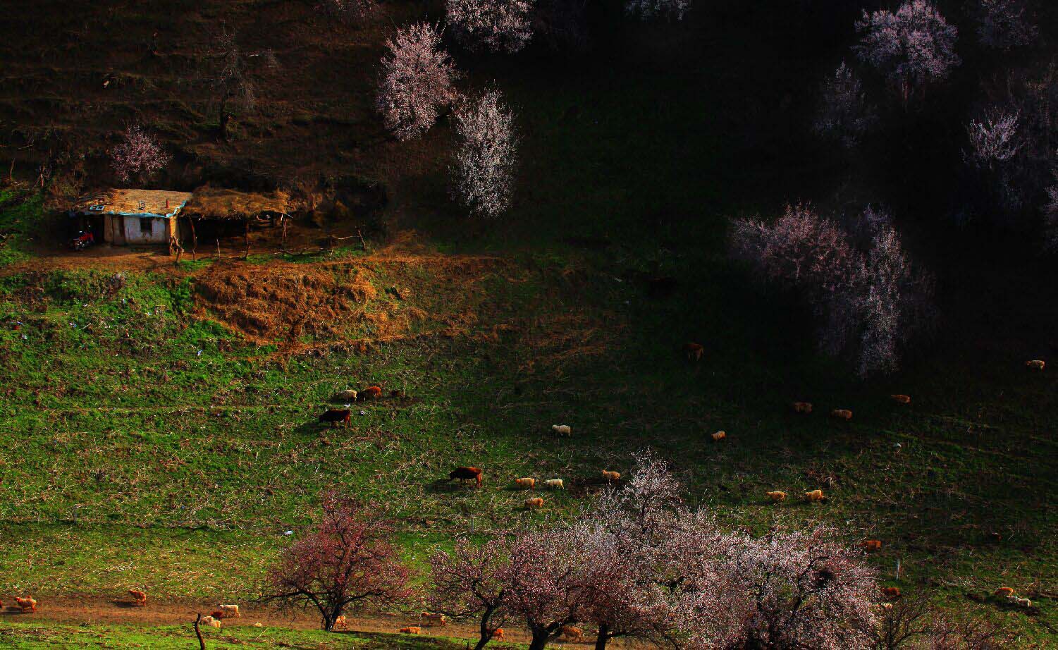 qqͼƬ20150504022145.jpg
