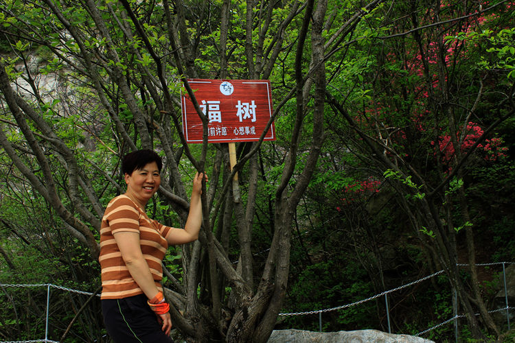 英山天马寨赏杜鹃 371_副本.jpg