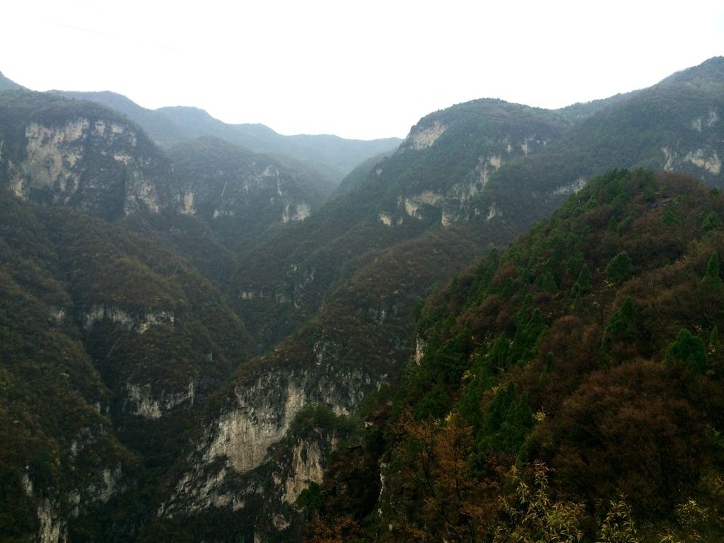 img_0143_副本.jpg